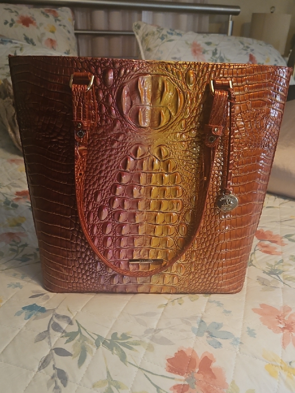 Brahmin Ellen Glam Ombre Melbourne Genuine Leather Croc-Embossed Tote
